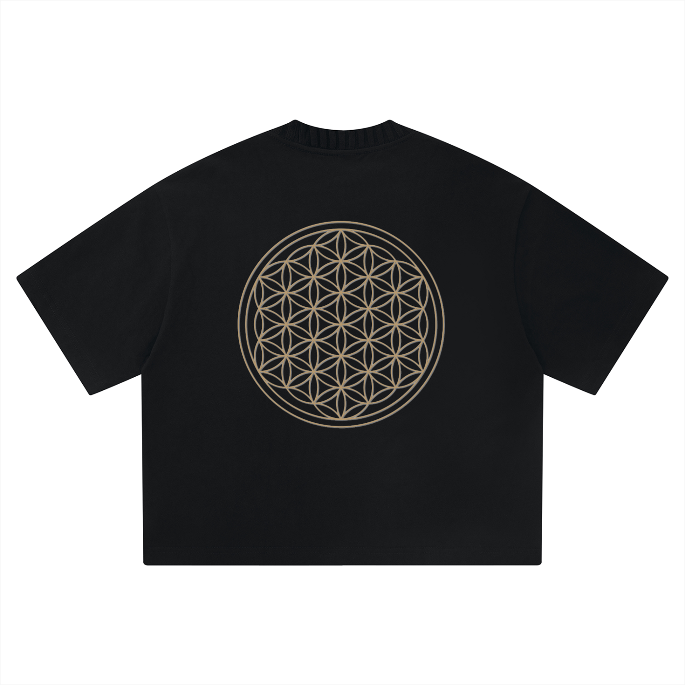 Unisex Heavyweight Boxy T-Shirt