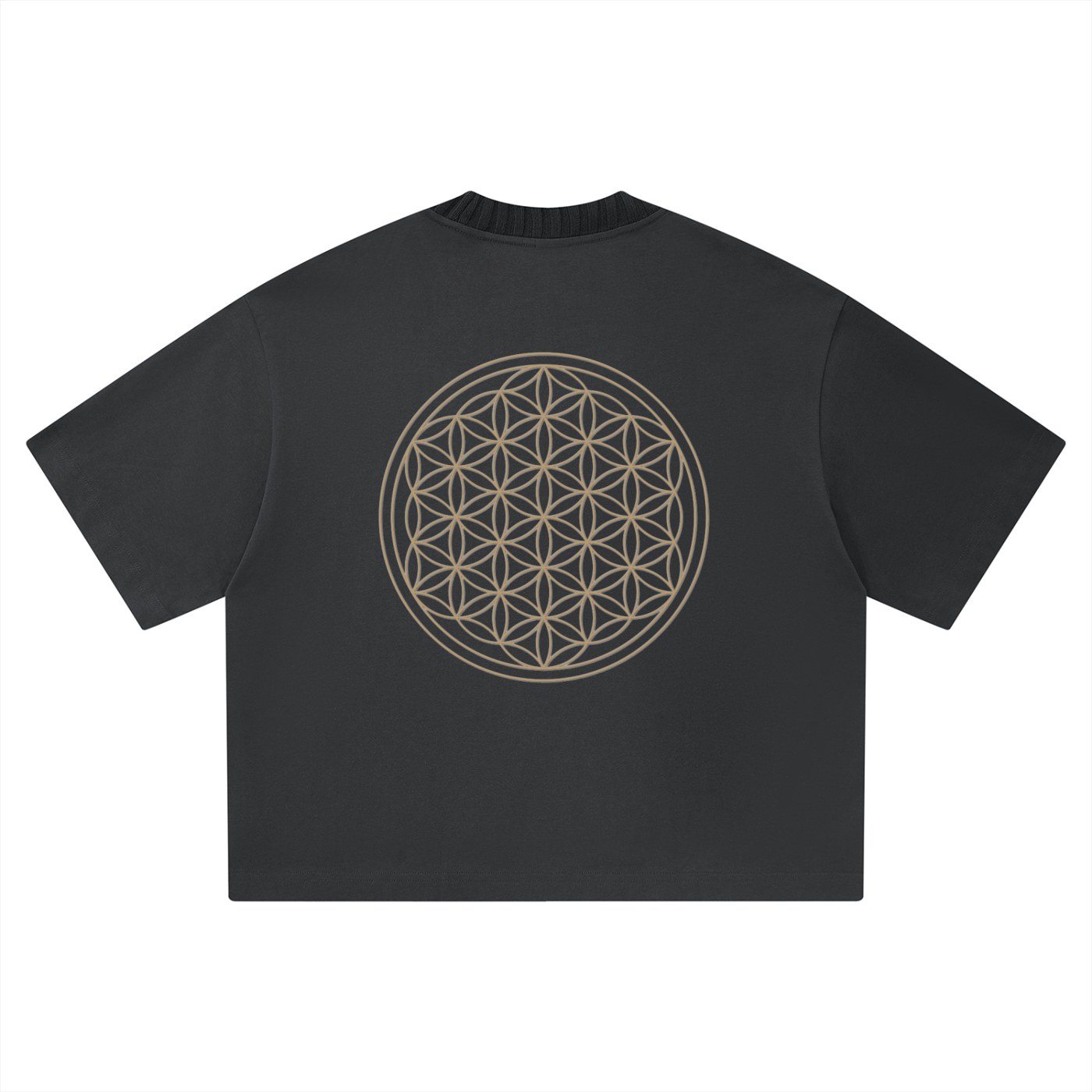 Unisex Heavyweight Boxy T-Shirt